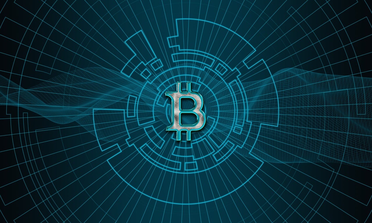 管家一肖100%正确,最新数据挖解释明,独特风格LN817.217
