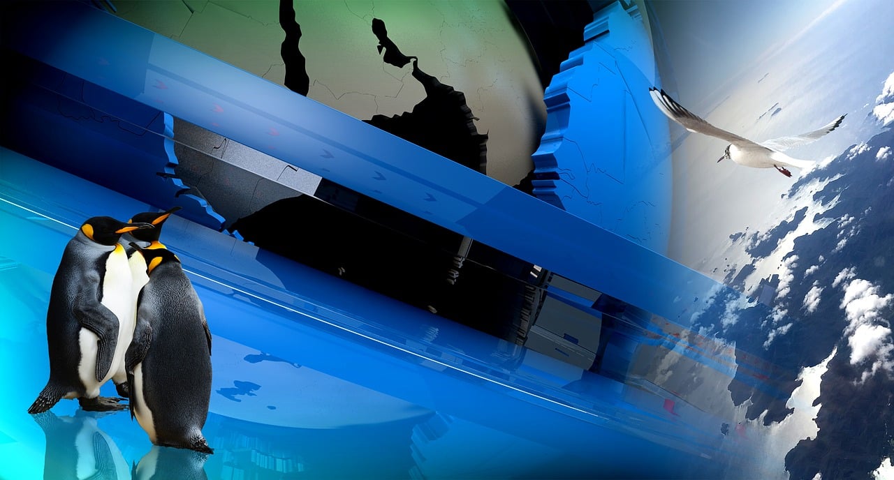 最新推荐污,最新推荐,探索未知的污世界